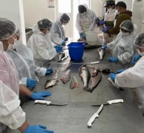 Avanzan las capacitaciones en fileteado de pescado y procesamiento de crustáceos