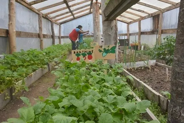 imagen_de_una_huerta_fueguina_1693573532_1695131999