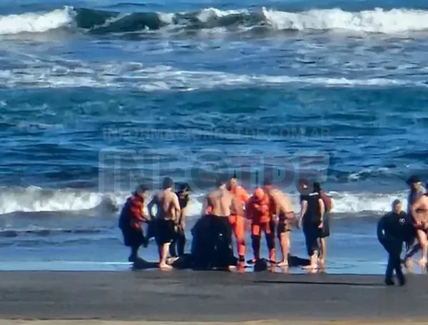 WhatsApp Image 2024-10-24 at 22.58.09