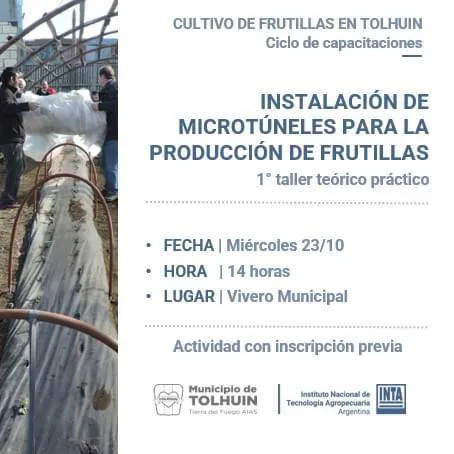 Impulsan un ciclo de formación en producción de frutillas en la ciudad de Tolhuin (2)