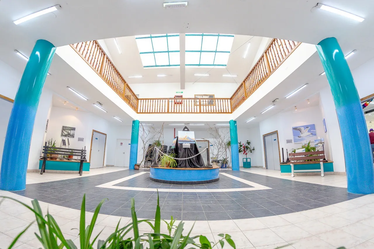 WhatsApp Image 2024-10-19 at 09.59.21