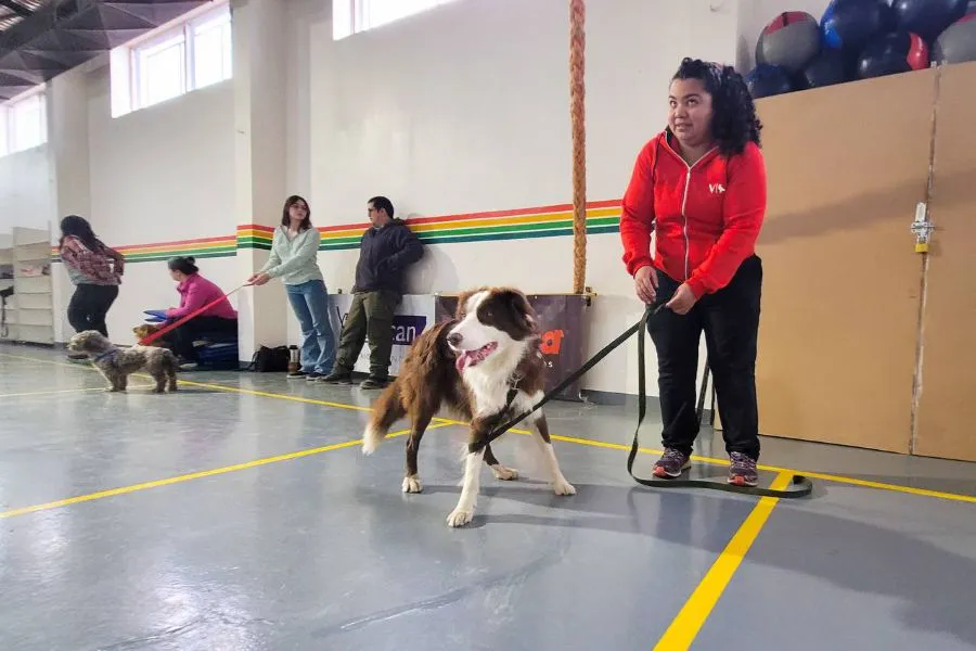 photo_5087136776836984569_y