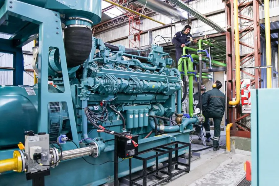 photo_4987975190382229621_y