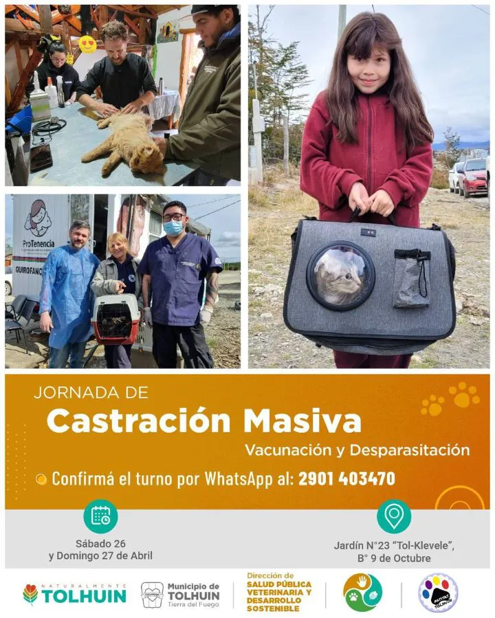 photo_4913598760681058111_y