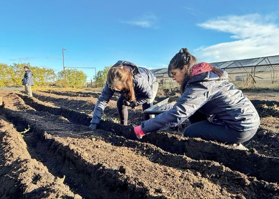 photo_5163605392482223650_y