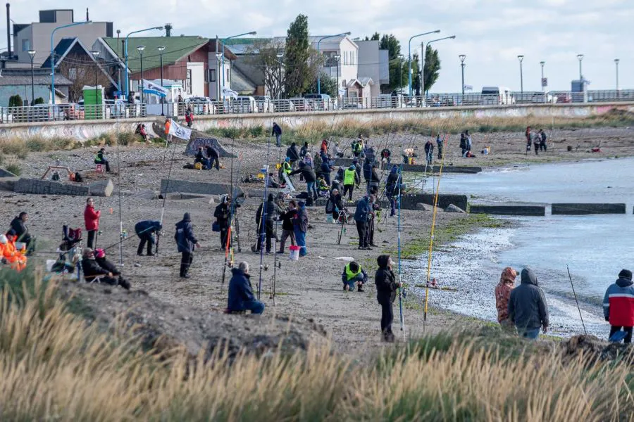 photo_5015022089798791063_y