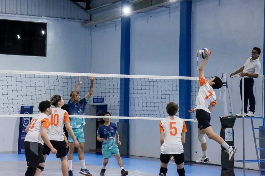 photo_4920594635341016672_y