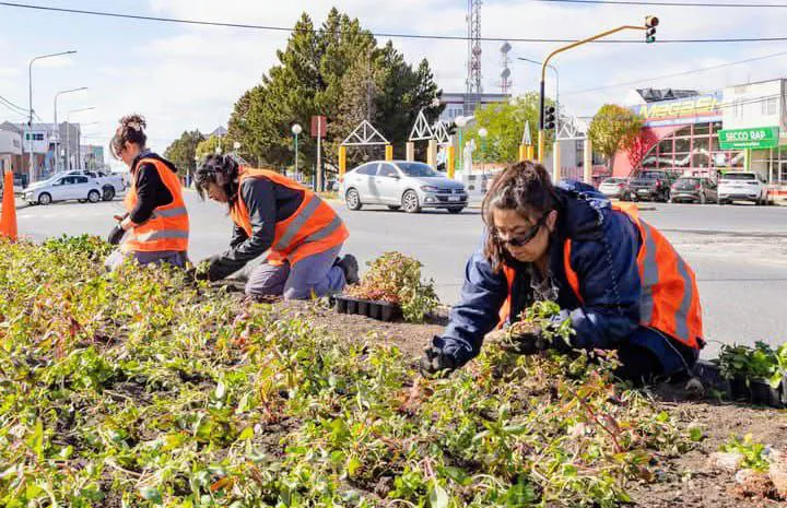 photo_5102834521530370894_x