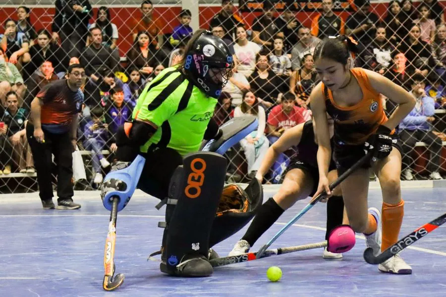 photo_4940844250795453952_y