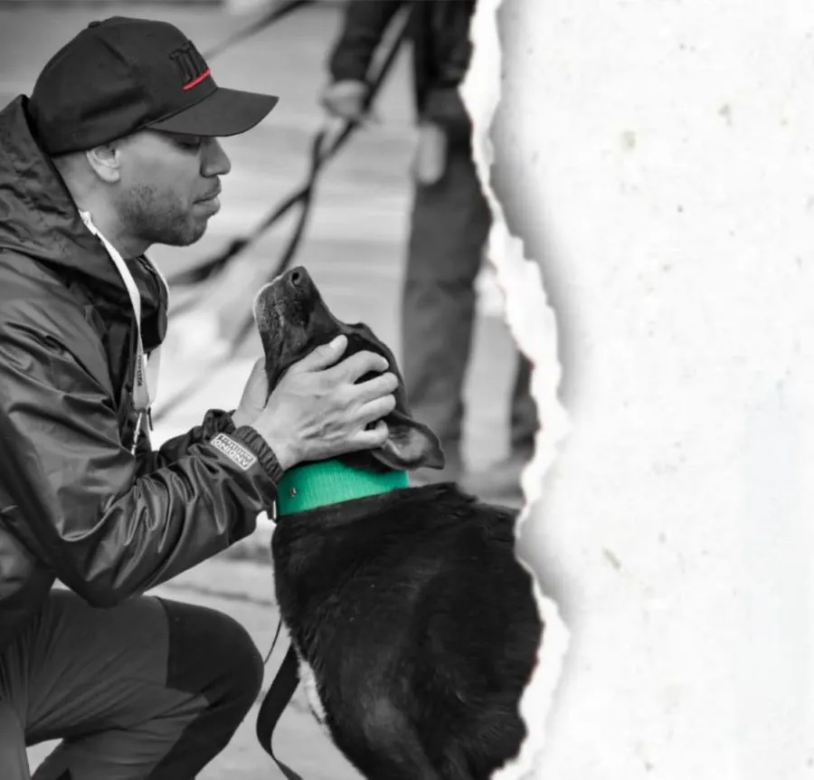 photo_5023983921313983768_y