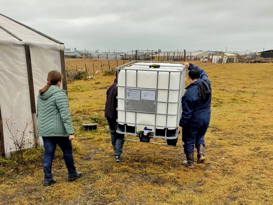 photo_5012533581456280509_y