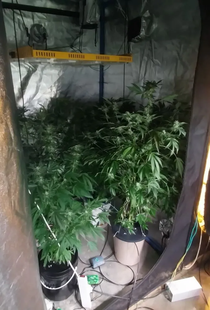 TIERRA DEL FUEGO- RIO GRANDE- INDOORS-3