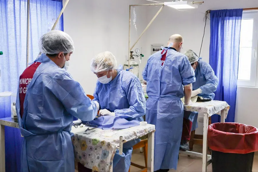 Río Grande ratifica la inversión en políticas de tenencia responsable de mascotas