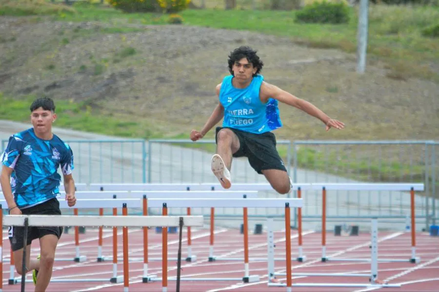 photo_4920594635341016667_y