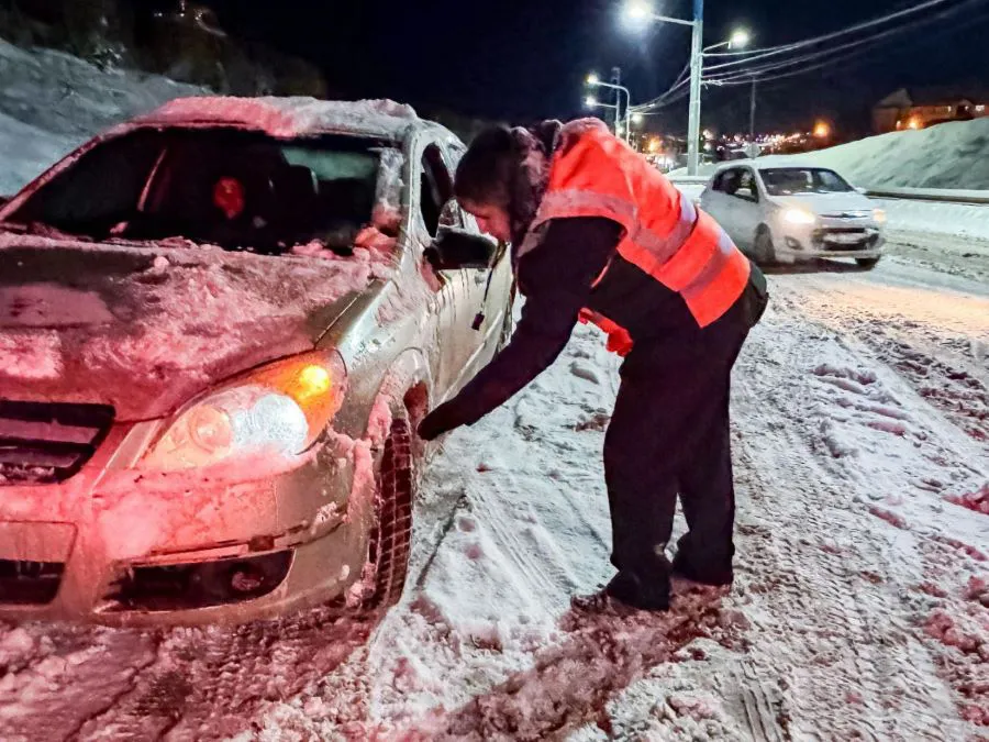 photo_4907172480288927461_y