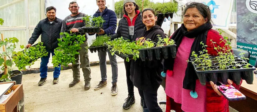PLANTAS01-820x360