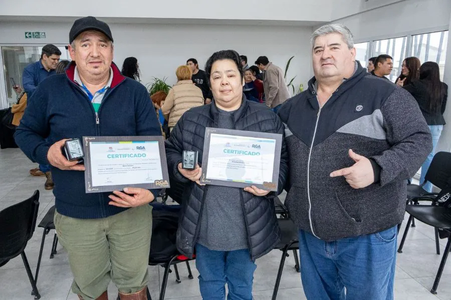 photo_5053437192122248858_y