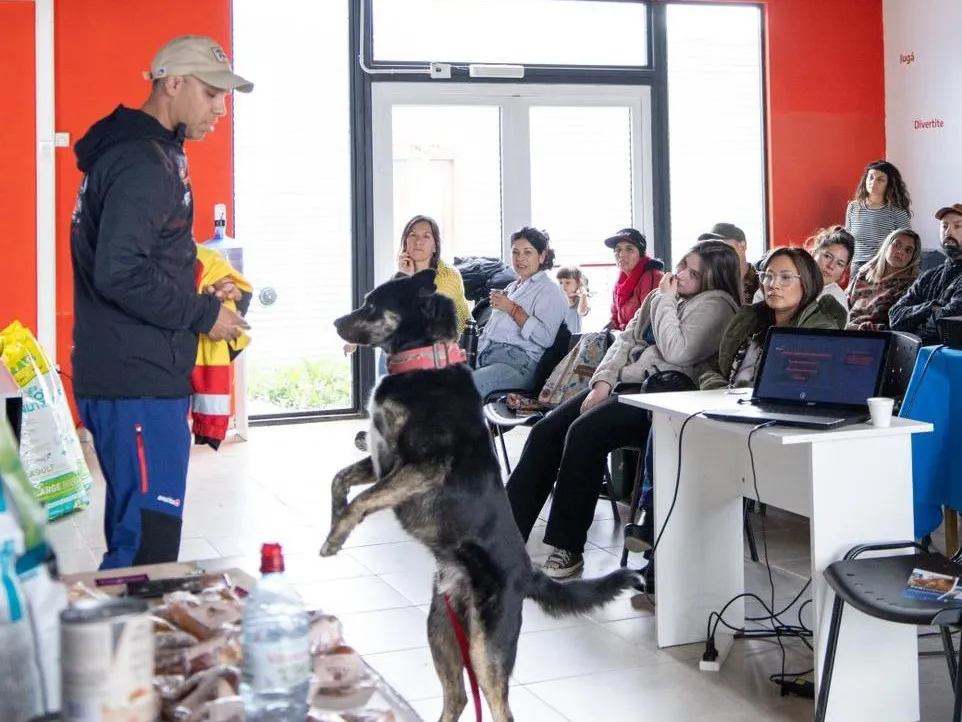 photo_5012804555237952307_y