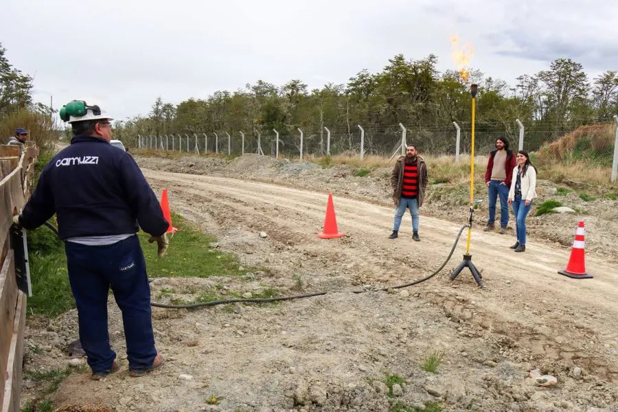 photo_4944984242790271885_y