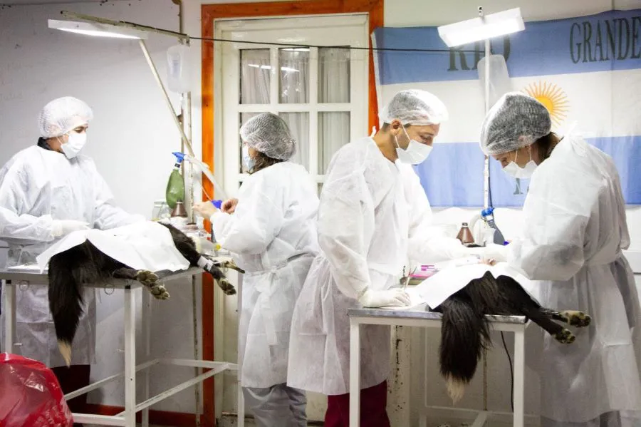 photo_4920507091022622388_y