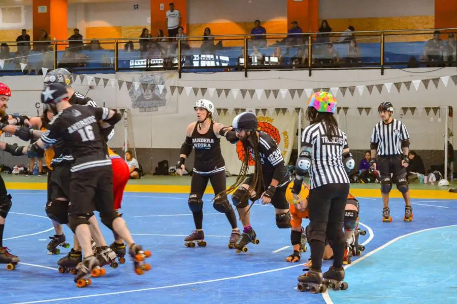 photo_4990026415226948459_y