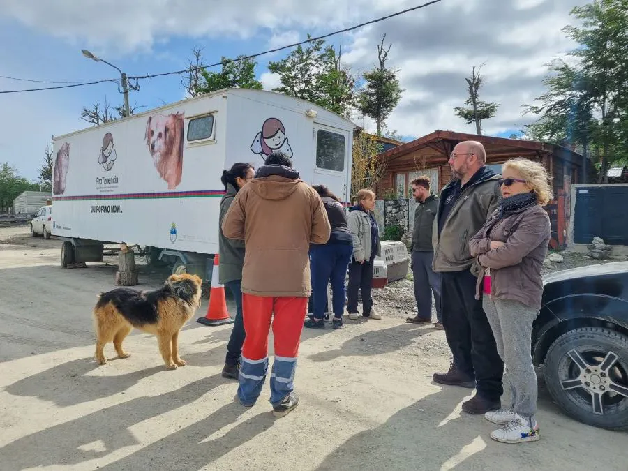 photo_5179540910856319098_y