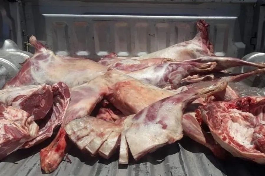 Recomiendan no adquirir cualquier tipo de carne de dudosa procedencia