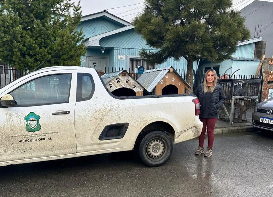 photo_5103011959510510985_y