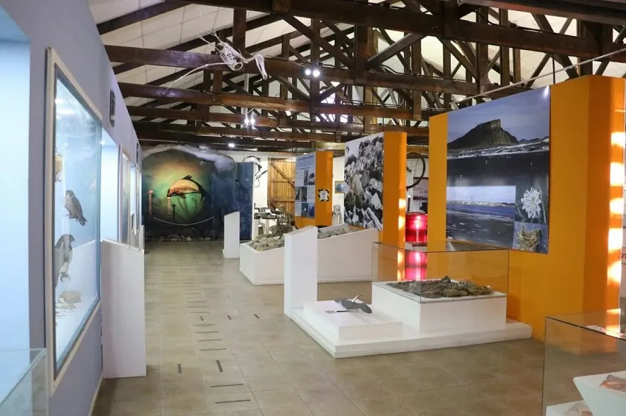 WhatsApp Image 2024-11-13 at 21.16.40