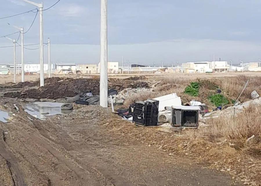 photo_4985808864712699800_y