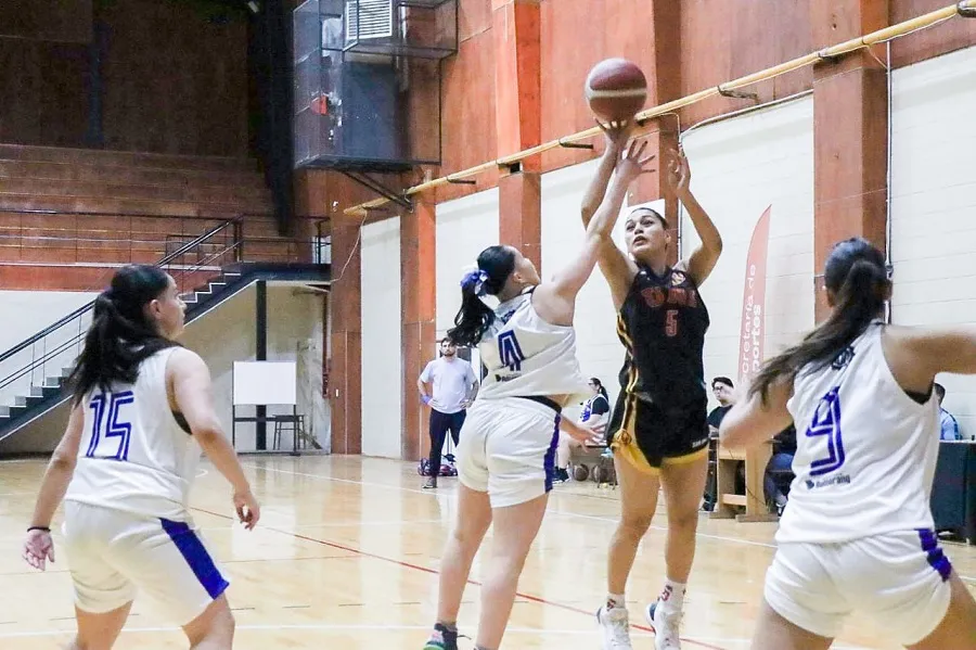 Del 10 al 16 de noviembre se disputarán los Juegos Binacionales de la Araucanía