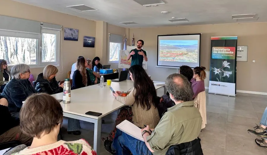 photo_5021618519615319528_y