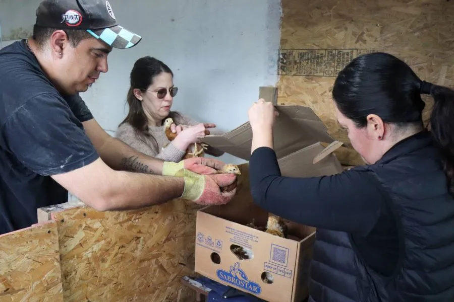 photo_4983631904707906354_y