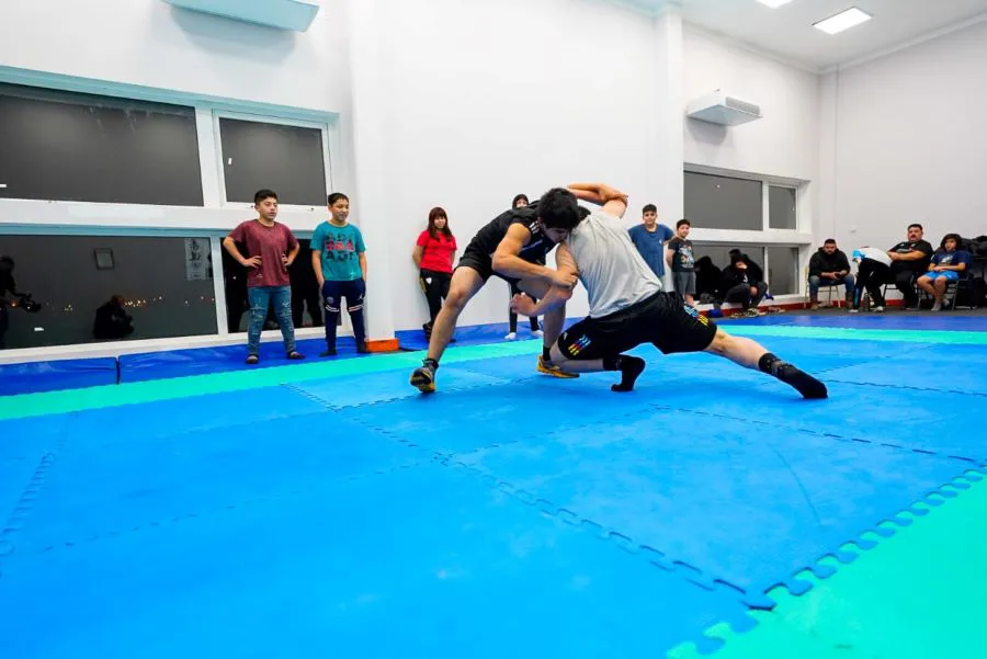 photo_4918460139674120026_y