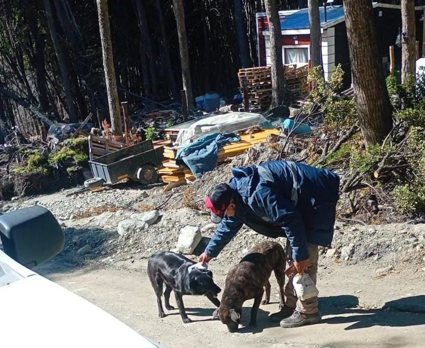 photo_4999105164341873499_y