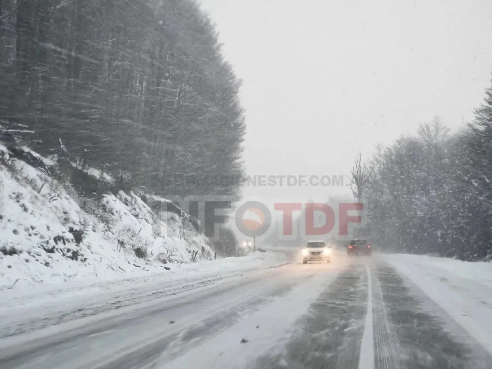 Alerta por intensas nevadas para Tierra del Fuego