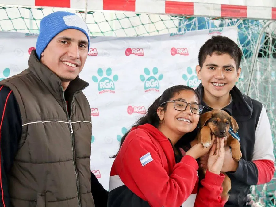 Habilitan un portal web para la adopción de mascotas en Río Grande  01
