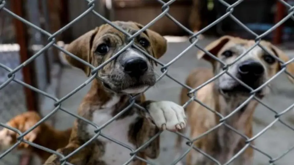 WhatsApp Image 2025-04-15 at 23.06.51