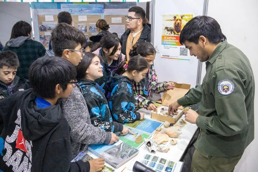 photo_5059952013265186399_y