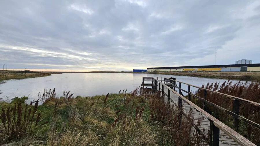 photo_4983356120562862950_y