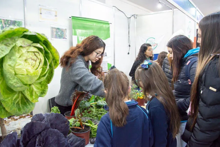 photo_5026378374171439294_y