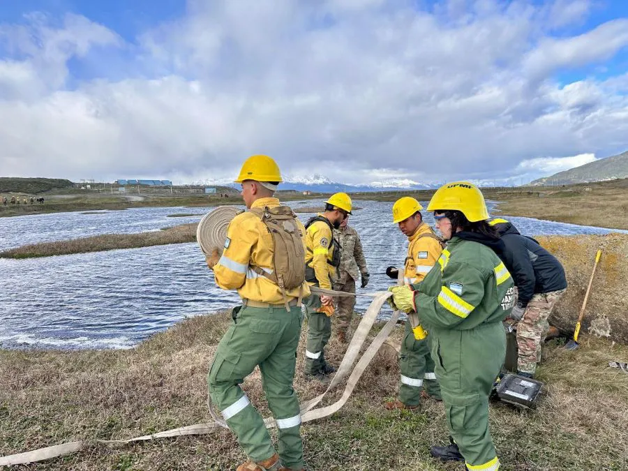 photo_4987998164166052694_y