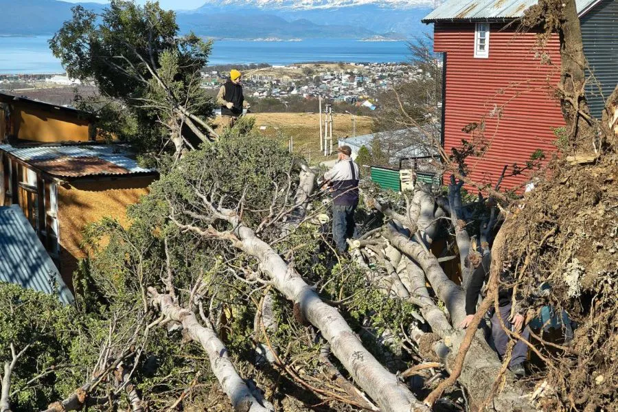 photo_5057866956966834180_y