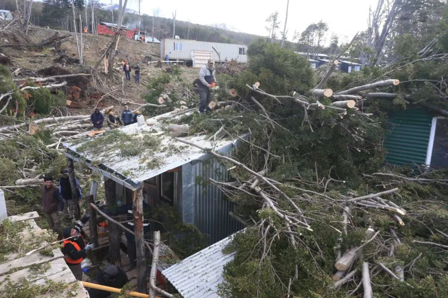 photo_5057866956966834181_y