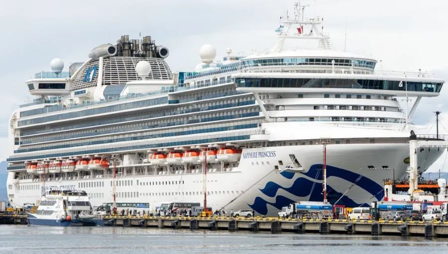 photo_5145528931699067901_y