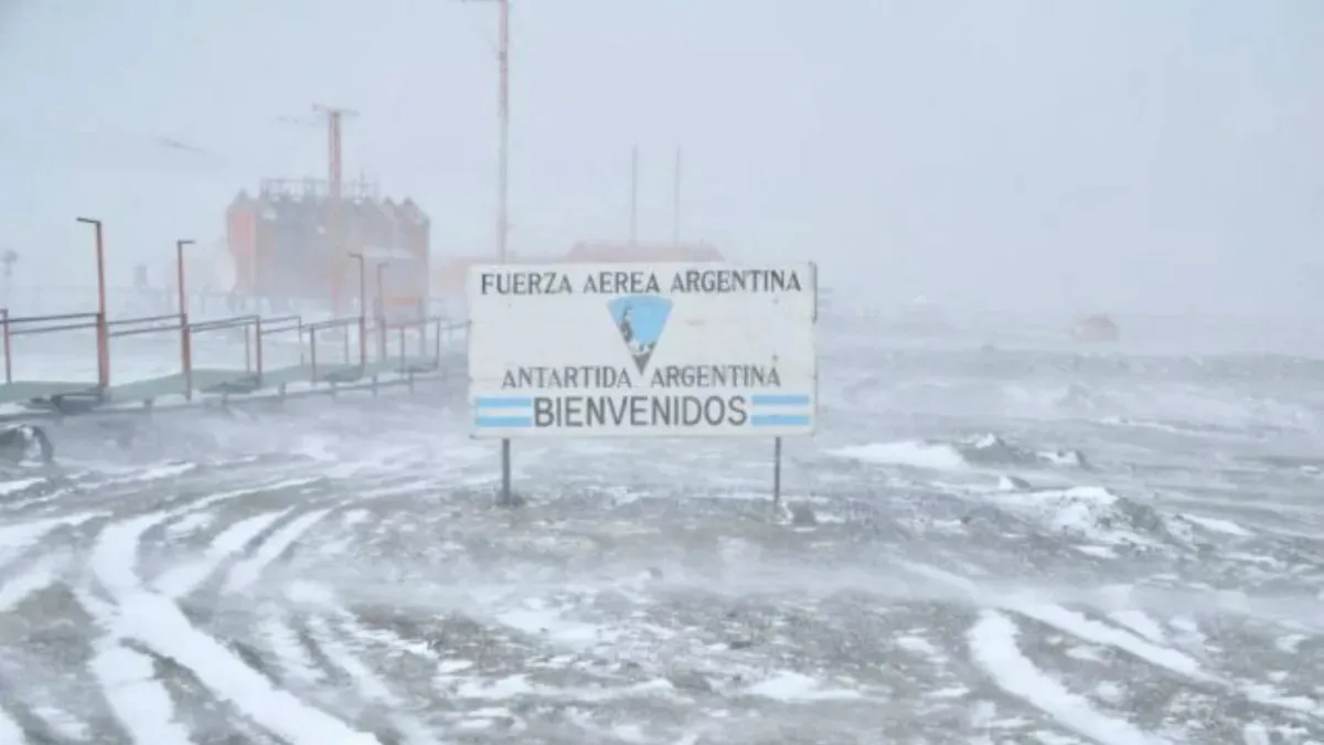 Imagen de WhatsApp 2025-12-01 a las 18.51.36_a0894b08