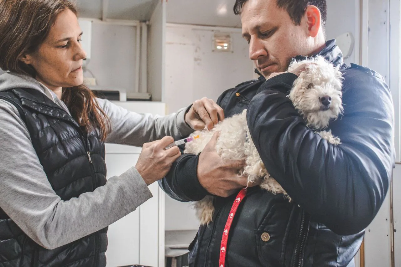 Hasta el viernes se entregarán antidesparasitarios y chipeo de mascotas en Casa Beban