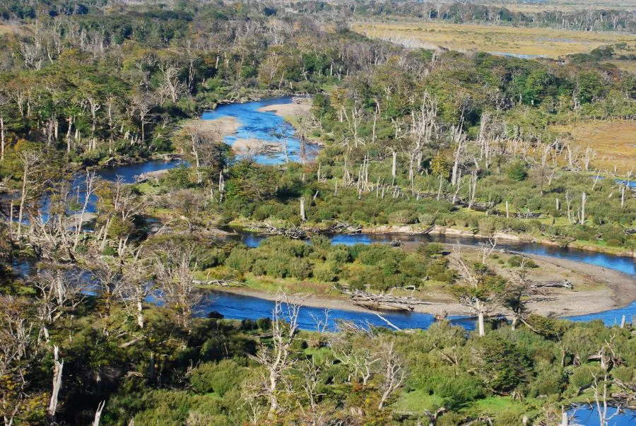 Se encuentran habilitada la temporada de visita al área natural protegida Península Mitre