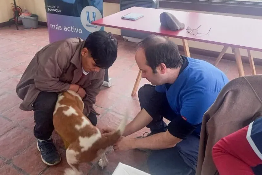 El próximo fin de semana se realizará una jornada de castración masiva en KyD (1)