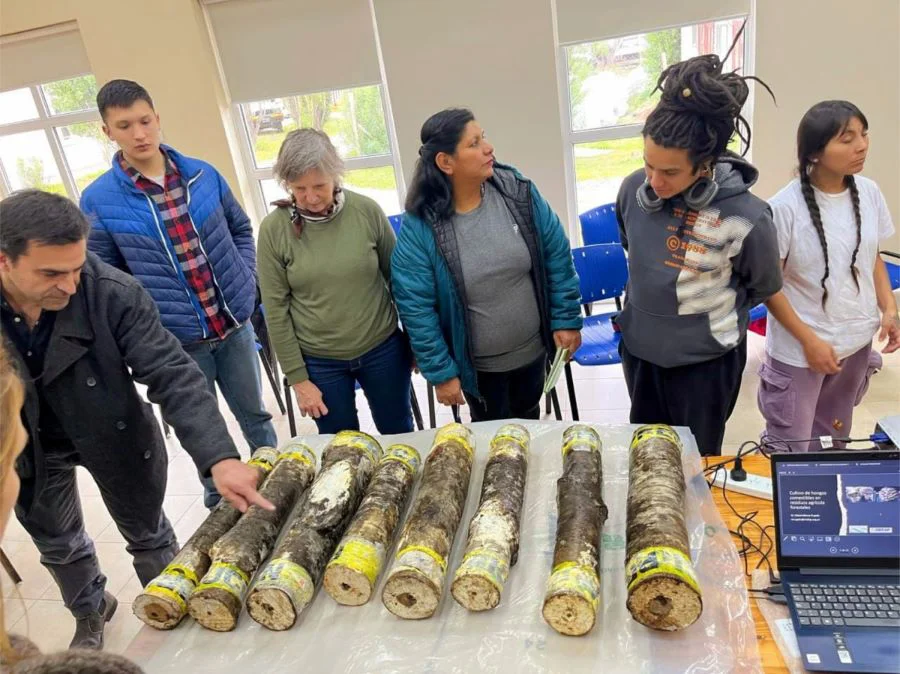 photo_5001701746950212431_y